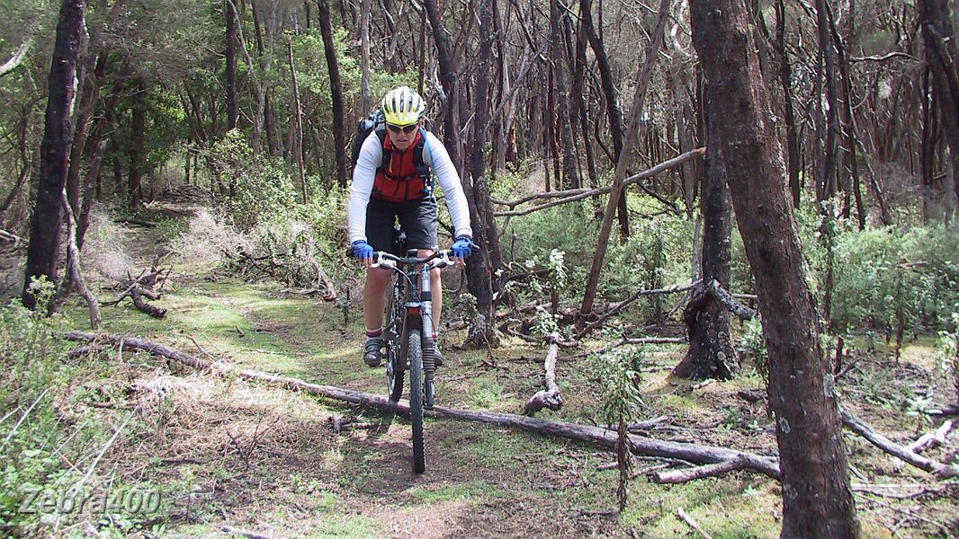 23-Heidi tackles some obstacles at Saltwater Creek.JPG